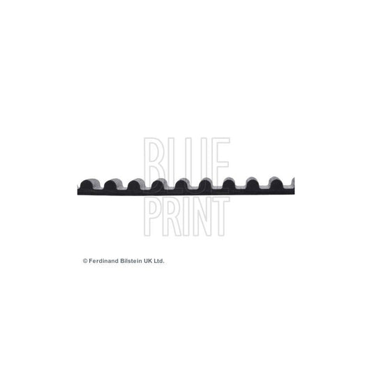Blue Print ADT37541 Timing Belt