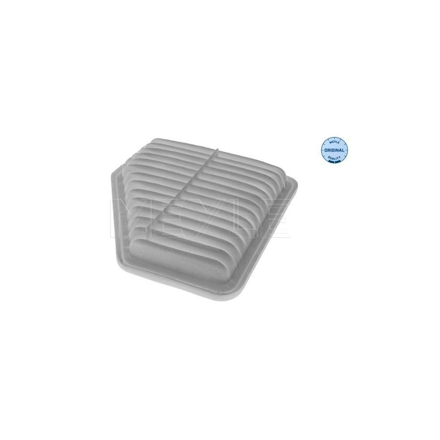 Meyle 30-12 321 0031 Air Filter