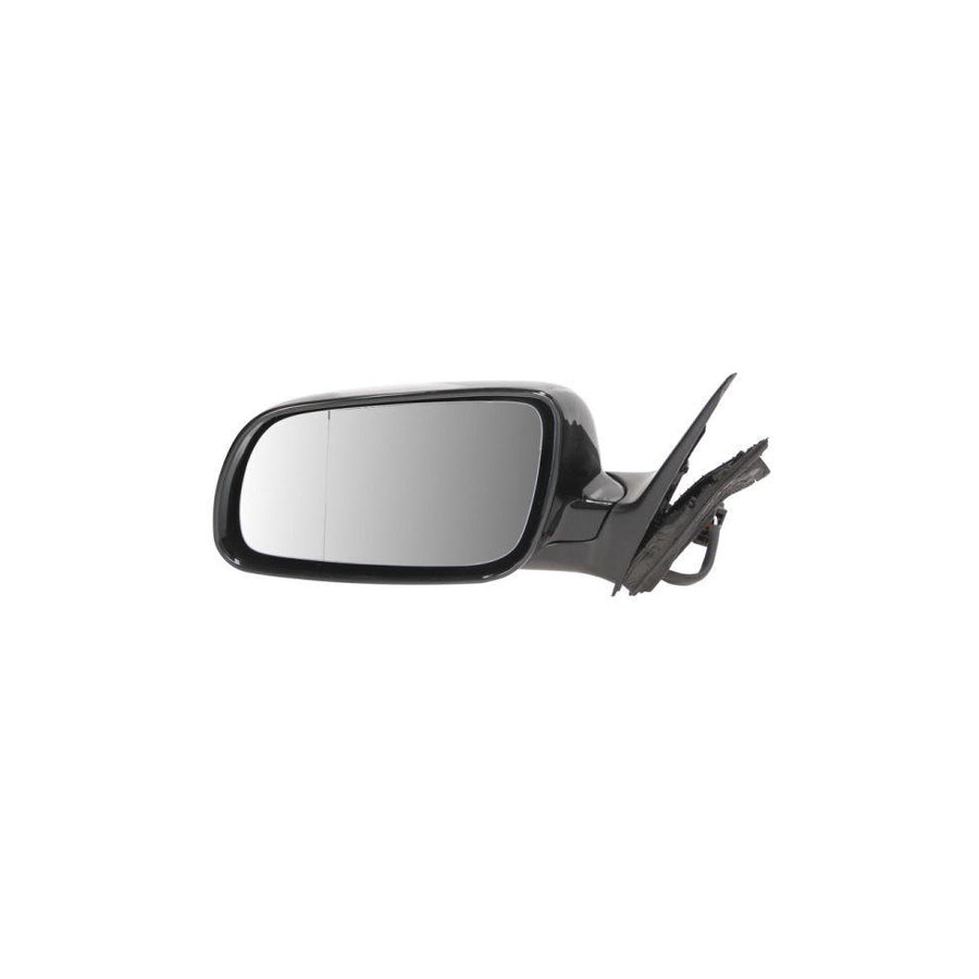 Blic 5402-04-1125797 Wing Mirror