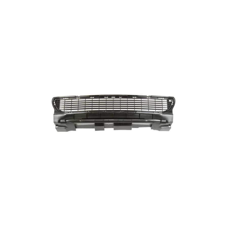 Blic 6502-07-3506910P Bumper Grill Suitable For Mercedes-Benz A-Class (W169)