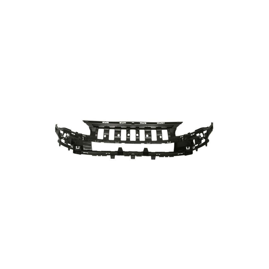 Blic 5502-00-0552942P Radiator Grille For Citroen Berlingo