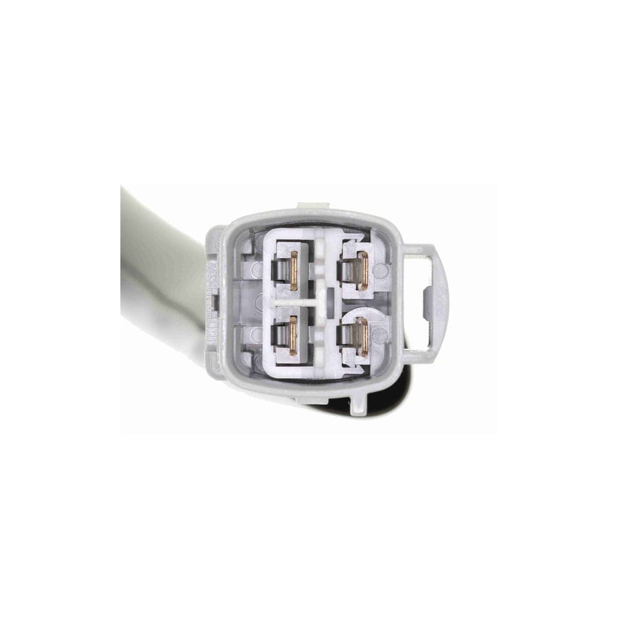 Ackoja A70-0587 Brake Hose For Toyota Picnic (Xm10) | ML Performance UK