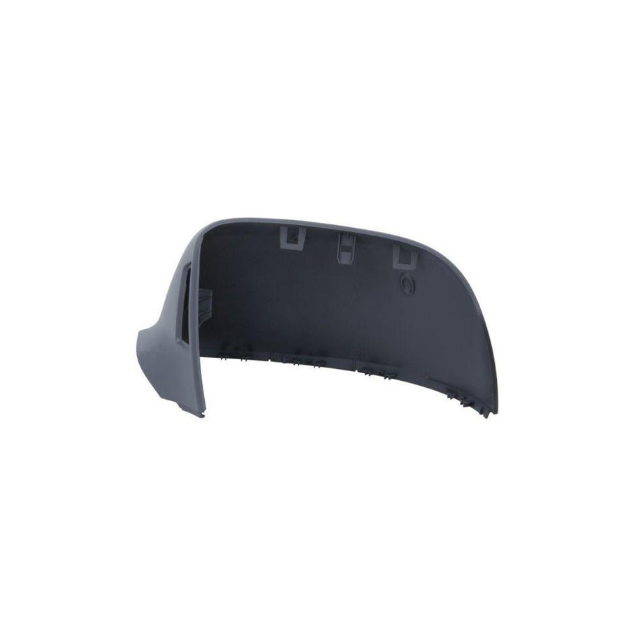 Blic 5402-04-9231995P Wing Mirror