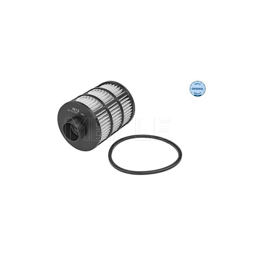 Meyle 614 323 0004 Fuel Filter