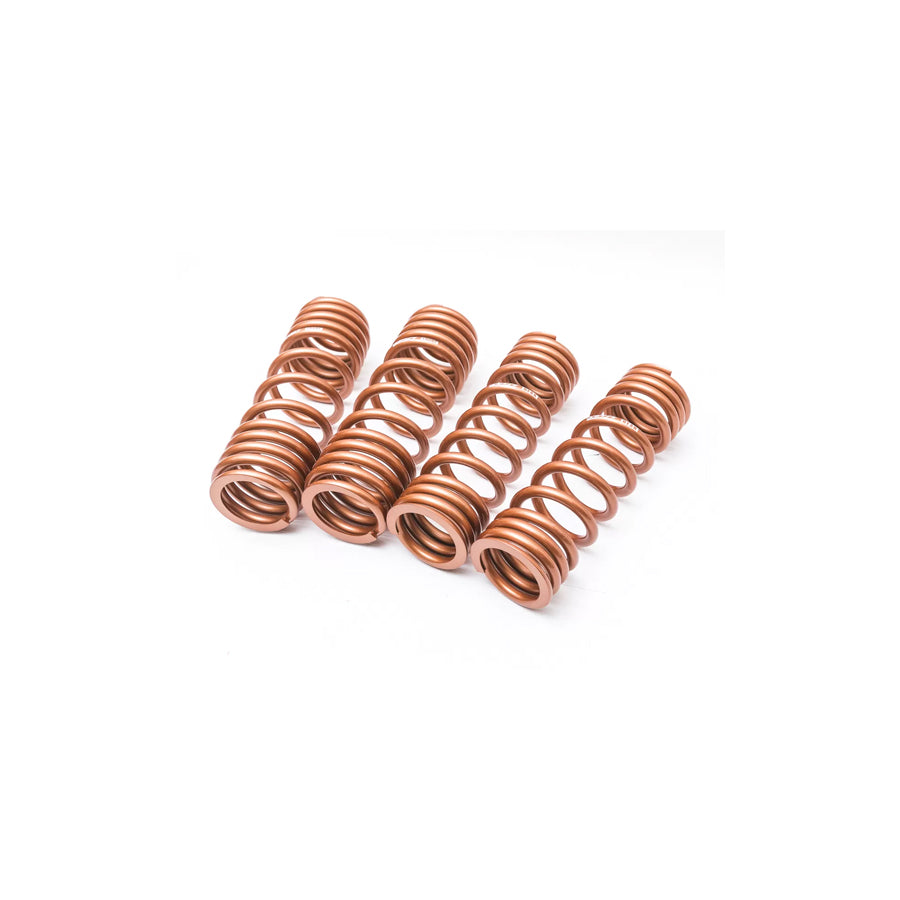 VR Performance Lowering Springs McLaren 12C | 650S