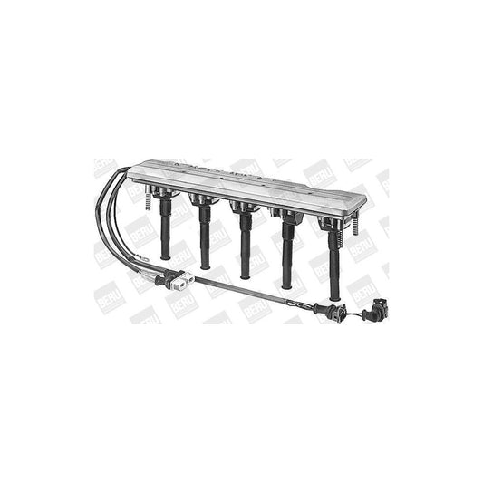 Beru 0135100004 Nozzle And Holder Assembly