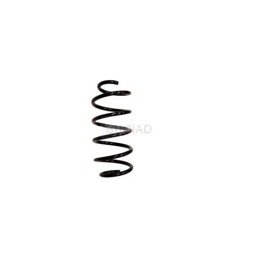 Bugiad BSP23462 Coil Spring
