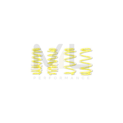 ST Suspensions 28230071 Ford Fiesta Mk7  SPORT SPRINGS 4 | ML Performance UK Car Parts