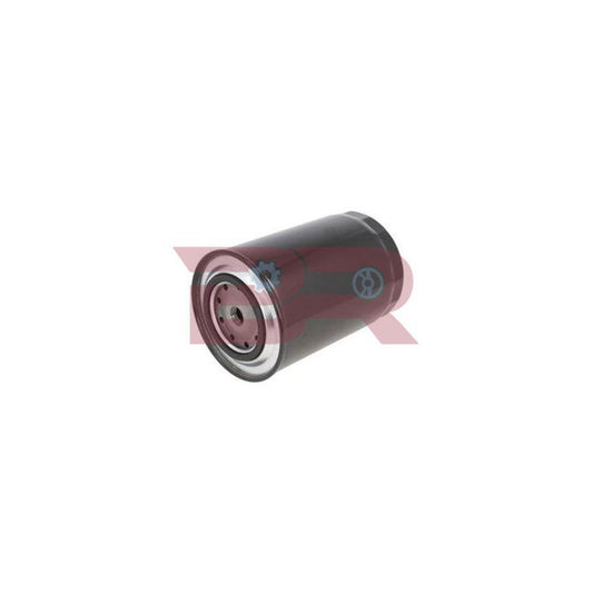Botto Ricambi BRM4048 Fuel Filter For