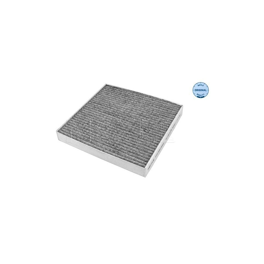 Meyle 33-12 319 0005 Pollen Filter
