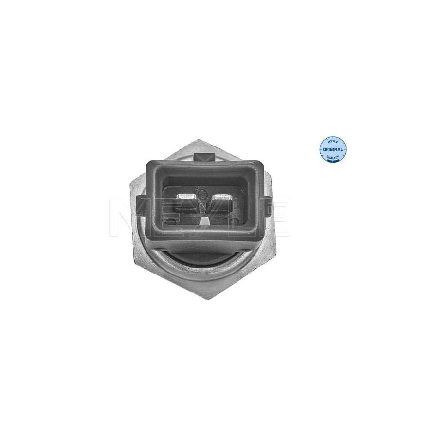 Meyle 30-14 323 0017 Fuel Filter