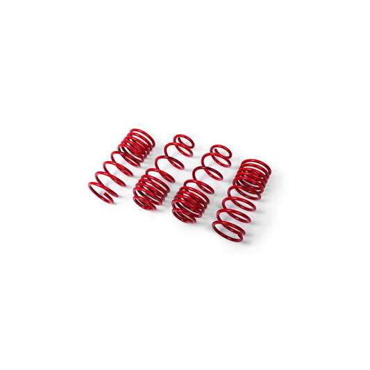 MTS Technik Suzuki Performance Springs - MTSXSZ021 Lowering Springs - Set | ML Performance UK Car Parts