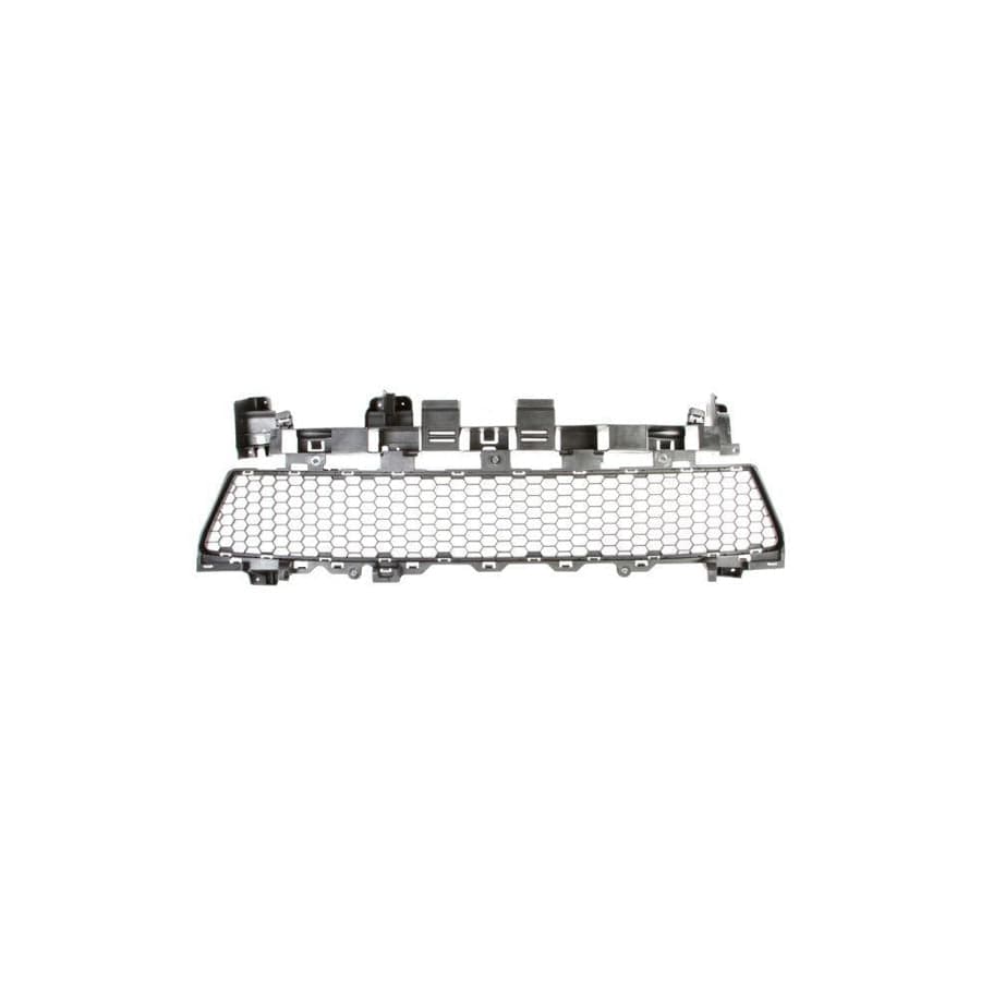 Blic 6502-07-1303910P Bumper Grill