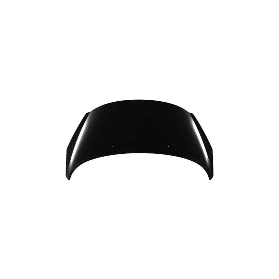 Abakus 03820100 Bonnet For Peugeot 207 | ML Performance UK