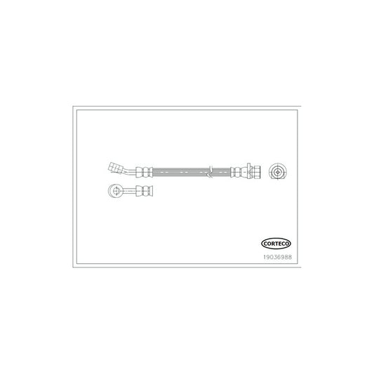 Corteco 19036988 Brake Hose | ML Performance UK