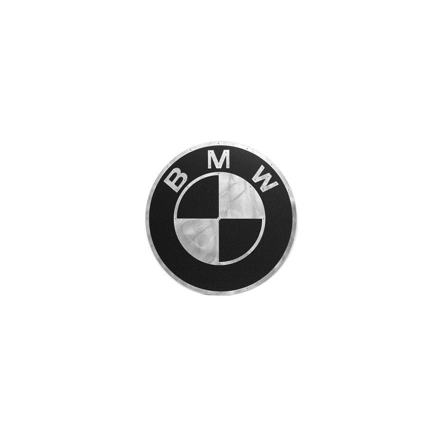 Fabspeed Carbon Fiber Wall Art - BMW | ML Performance UK