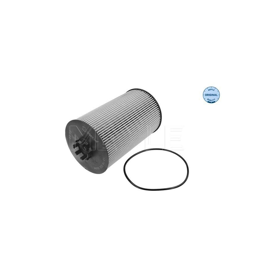 Meyle 12-14 322 0004 Oil Filter