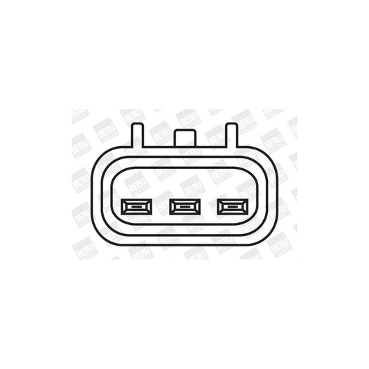 Beru ZS389 Ignition Coil