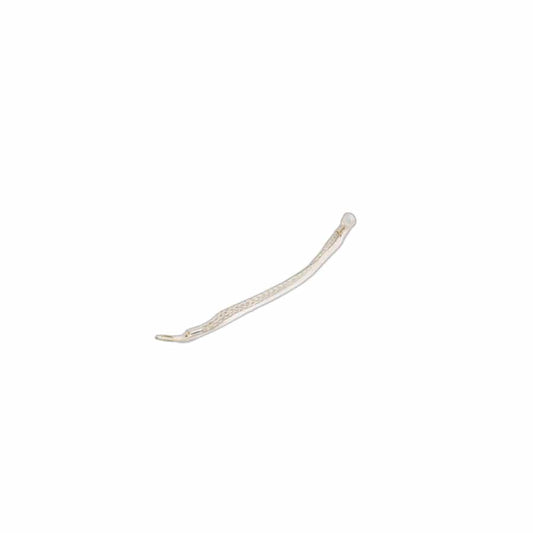 Genuine BMW 18106906784 E71 E83 Earth Strap (Inc. X3 2.5i, X6 35iX & X3 3.0i) | ML Performance UK Car Parts