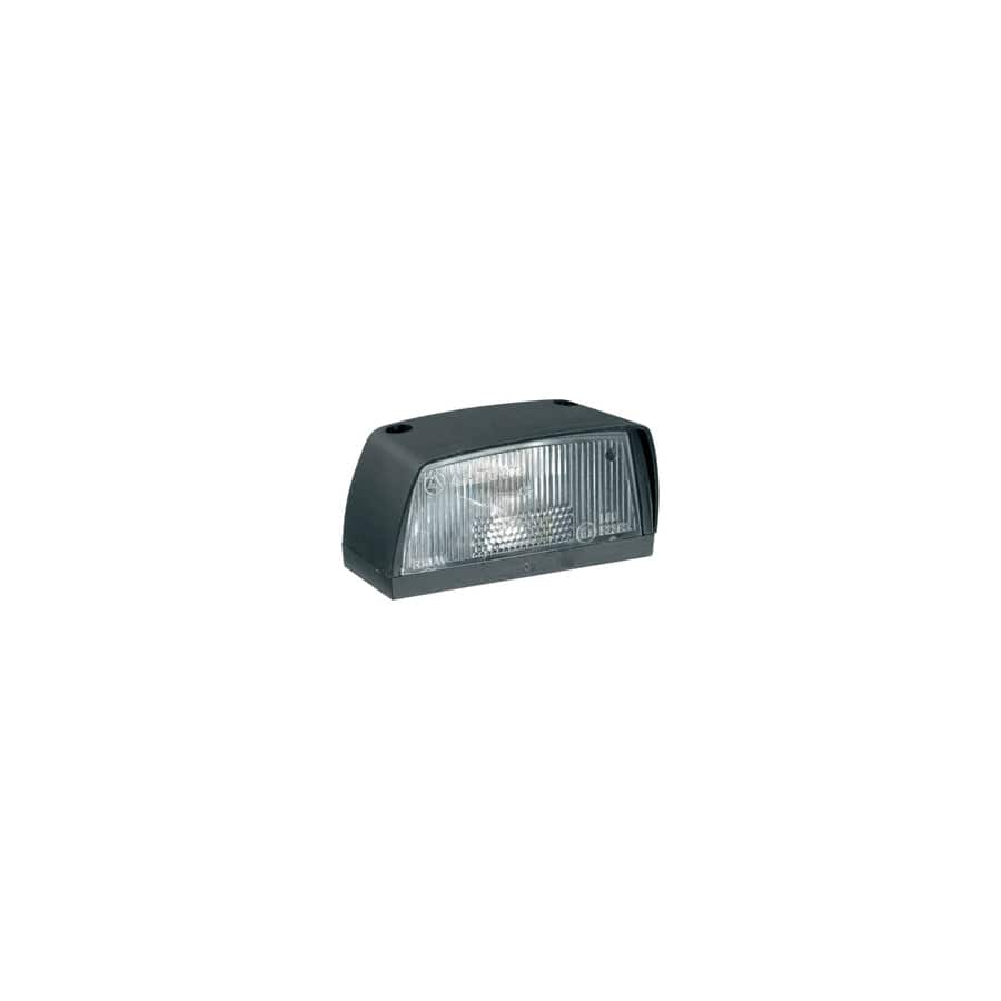 RING RCT780 Number Plate Lamp  - Black (Large) (Inc Bulb) | ML Performance
