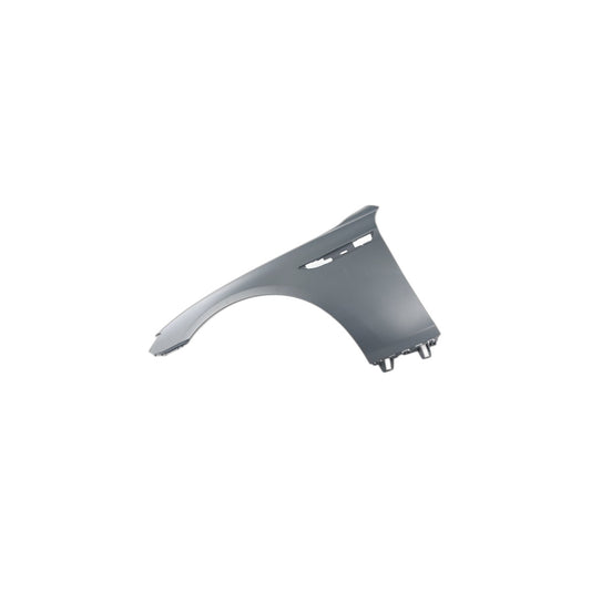 Genuine BMW 41357230577 F13 Side Panel, Front Left (Inc. 640d, 640iX & 650iX 4.0)