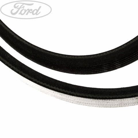 GENUINE FORD 4404004 FOCUS DRIVE V BELT | ML Performance UK