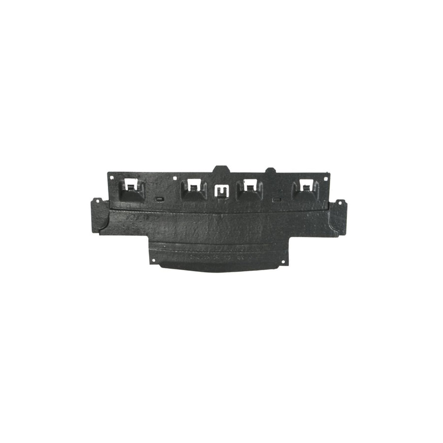 Blic 6601-02-0524880P Skid Plate For Citroen C5