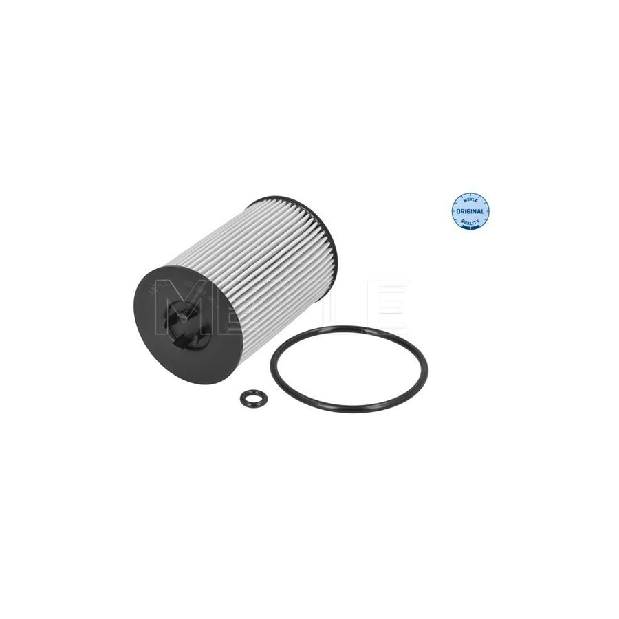 Meyle 100 322 0019 Oil Filter