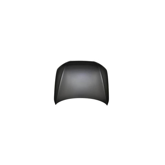 Abakus 00326100 Bonnet For Audi A4 | ML Performance UK