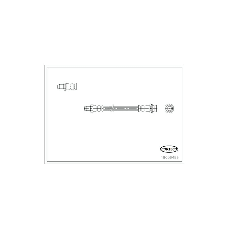 Corteco 19036489 Brake Hose | ML Performance UK