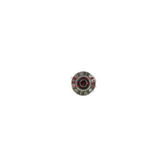 Botto Ricambi BRM6465 Fan Clutch For Iveco Daily