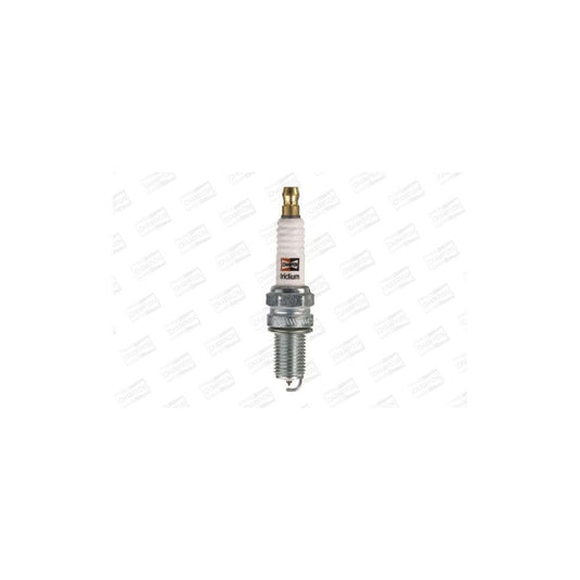 Champion Platinum Ct Oe187/R04 Spark Plug