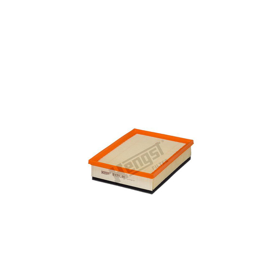 Hengst Filter E173L01 Air Filter