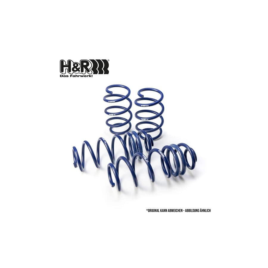 H&R 28665-2 Performance Lowering Springs | ML Performance UK Car Parts