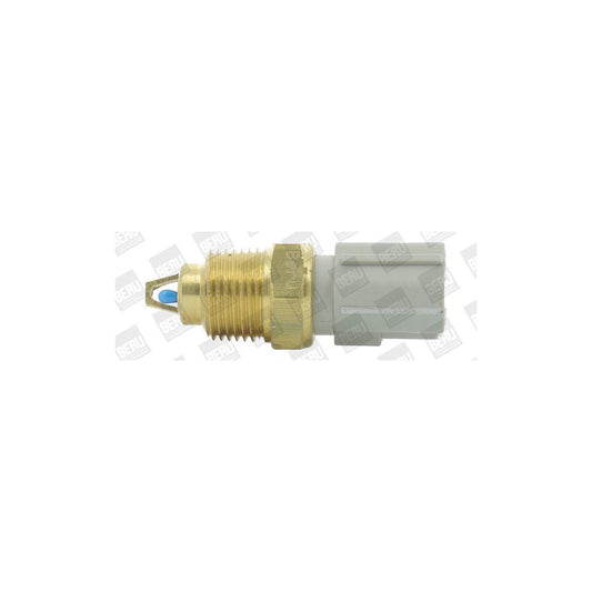 Beru ST260 Sender Unit, Intake Air Temperature