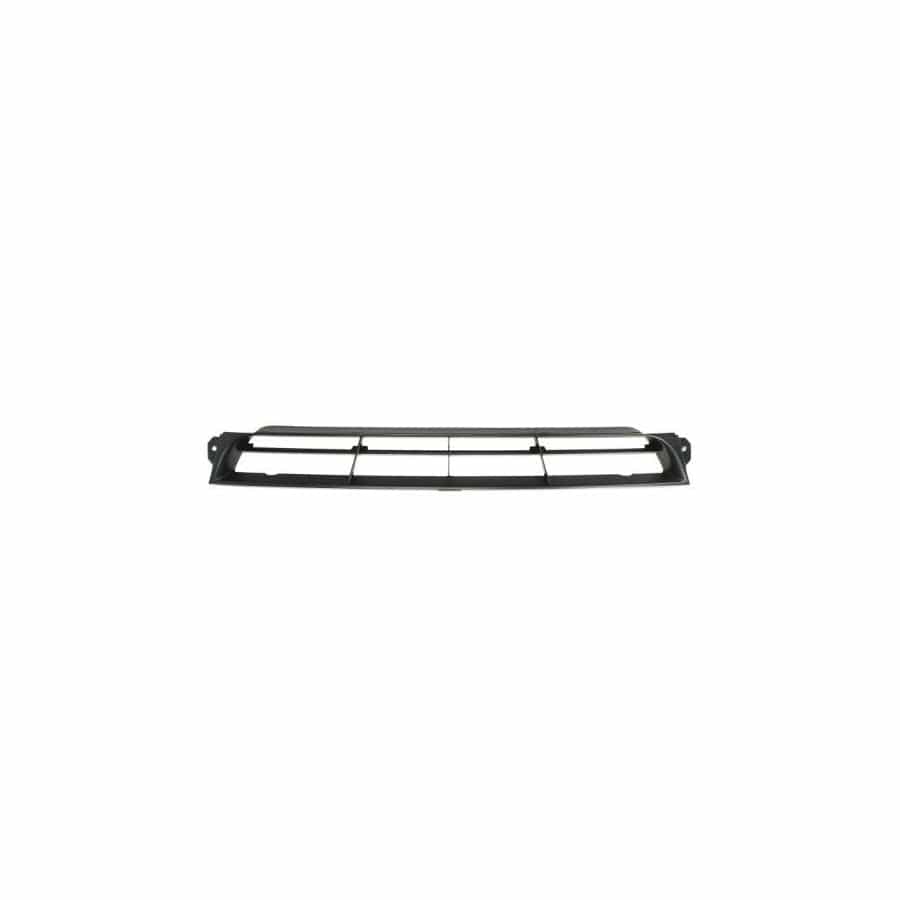 Blic 6502-07-6607996P Bumper Grill