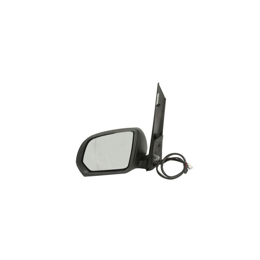 Blic 5402-04-0203898P Wing Mirror