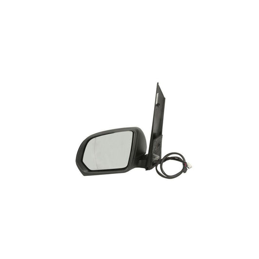 Blic 5402-04-0203898P Wing Mirror