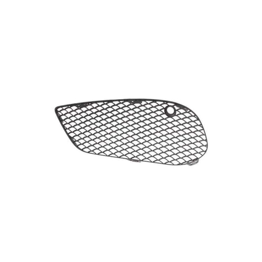 Blic 6502-07-3521913P Bumper Grill Suitable For Mercedes-Benz C-Class