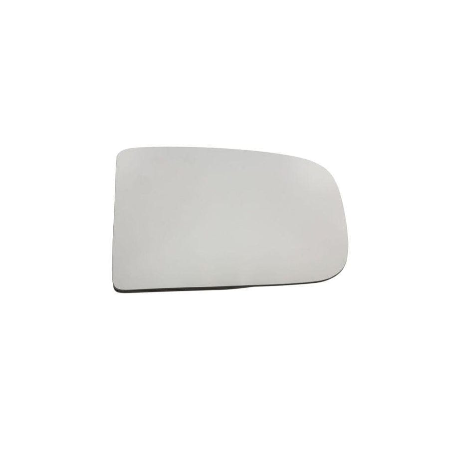 Blic 6502-07-6613993Q Bumper Grill