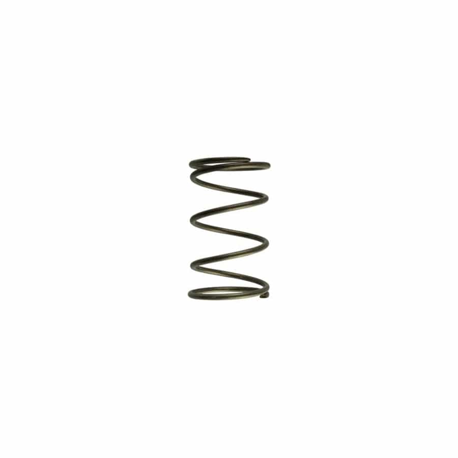 Turbosmart TS-0550-3092 GenV WG60 14psi Brown Outer Spring | ML Performance UK Car Parts
