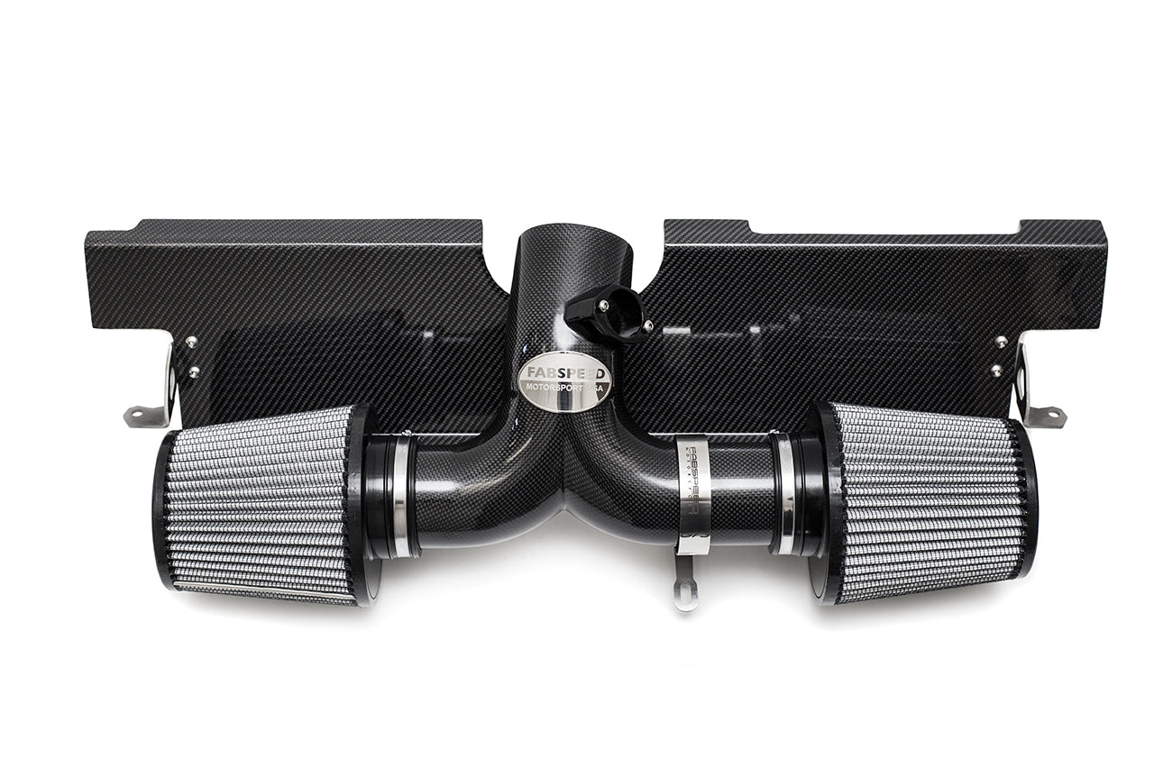 Fabspeed Porsche 996 GT3 Carbon Fiber Competition Air Intake - ML Performance