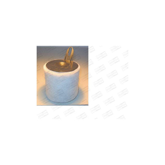 Champion V458/606 Air Filter