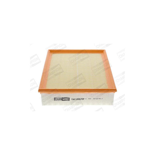 Champion CAF100570P Air Filter