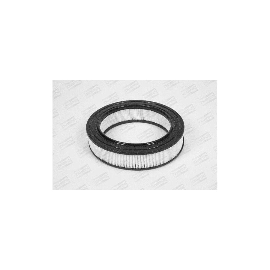 Champion W122/606 Air Filter