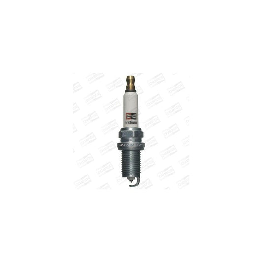 Champion CCH9813 Spark Plug