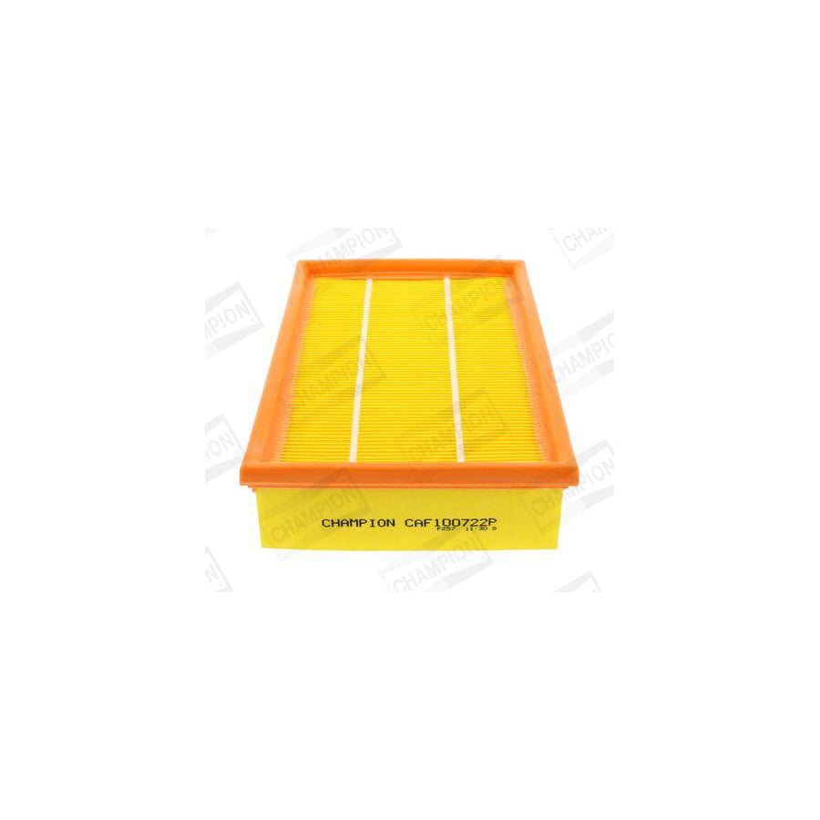 Champion CAF100722P Air Filter