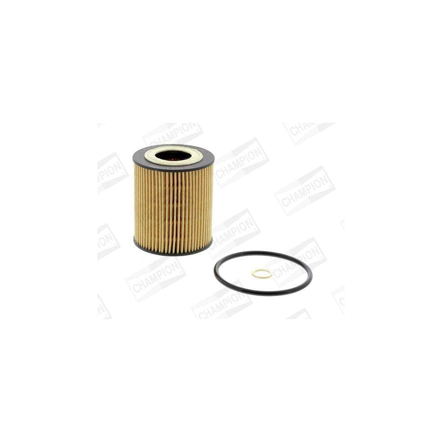 Champion Eon Titan COF100528E Oil Filter