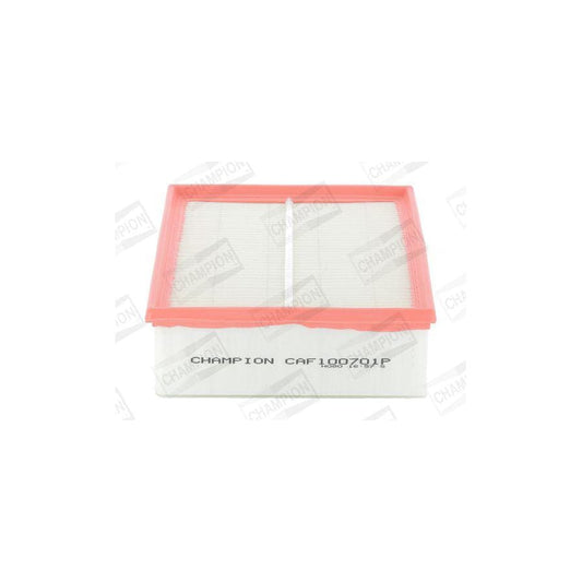 Champion CAF100701P Air Filter