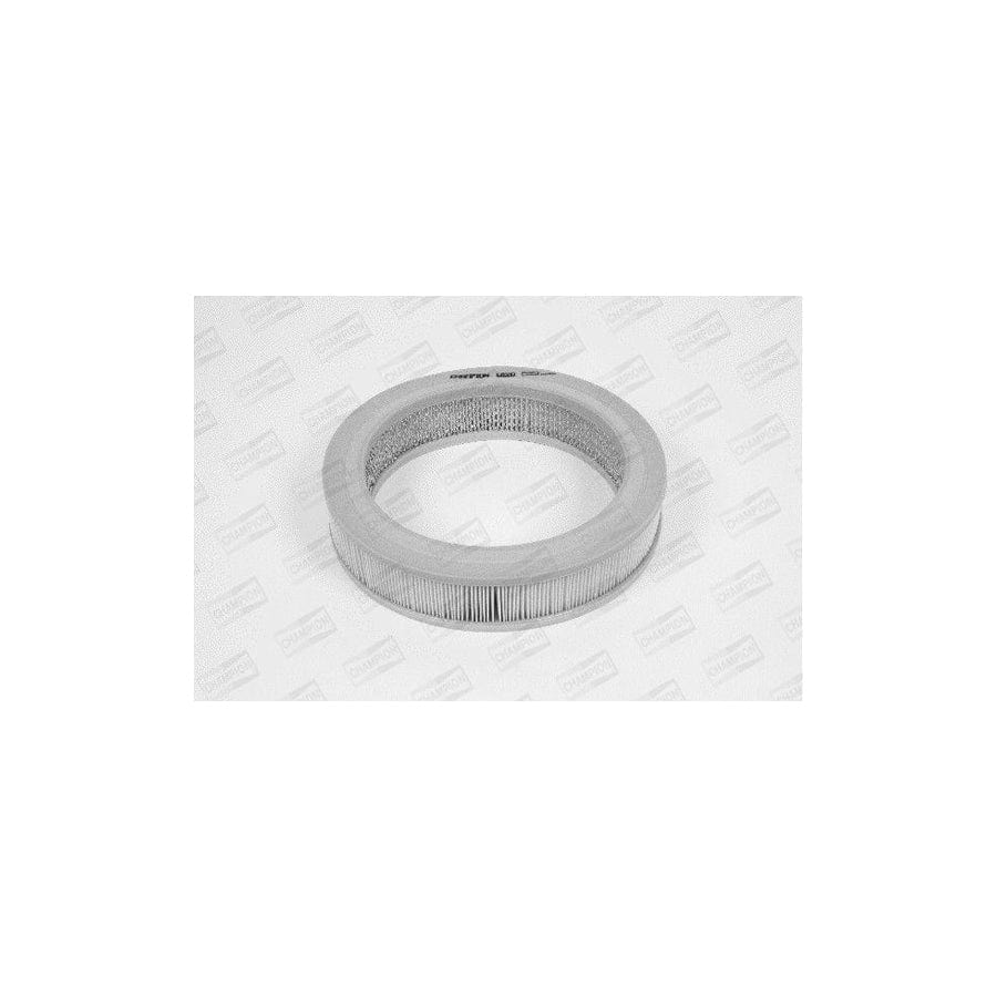 Champion W120/606 Air Filter